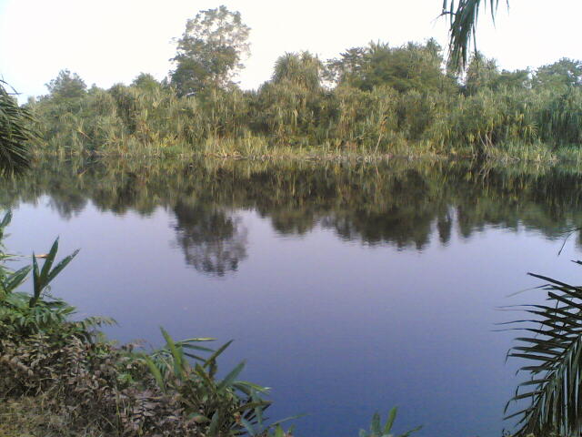 Sungai tanjung Belit